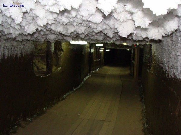 雅庫茨克永久凍土研究所的地下實驗室