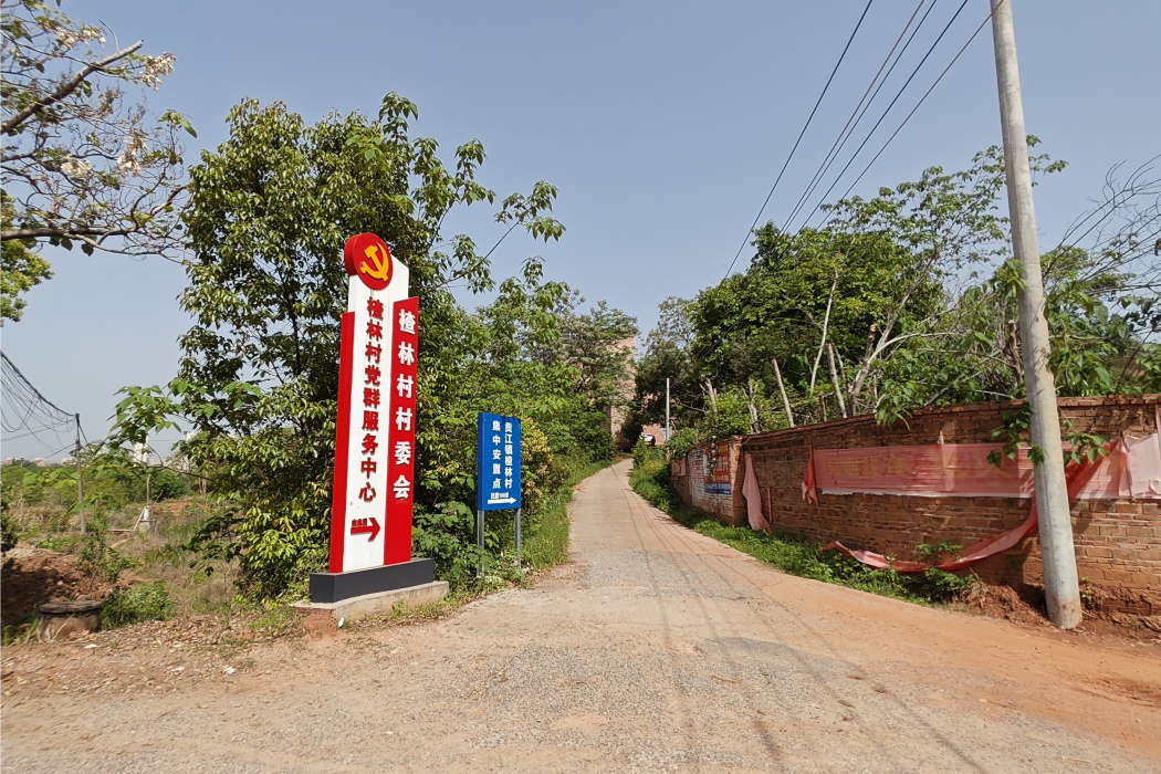 楂林村 楂林村