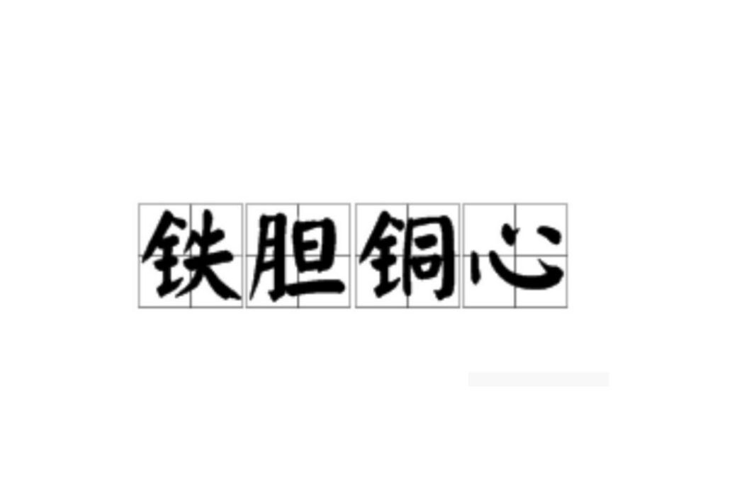 鐵膽銅心 鐵膽銅心