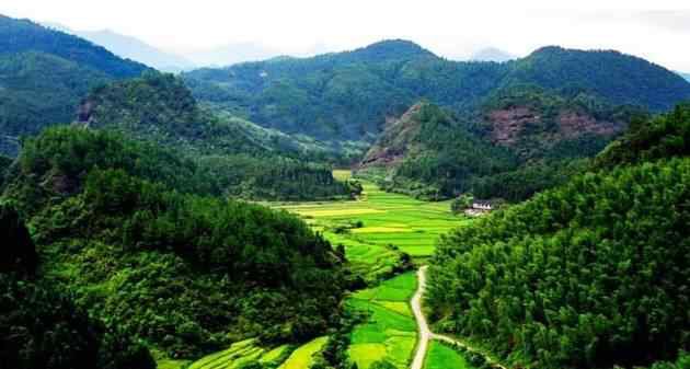 峻岭林場