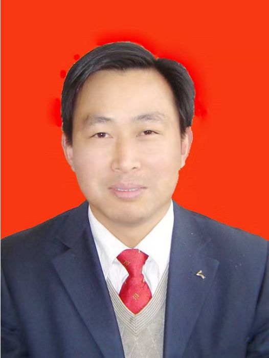 羅峰(安徽省安慶市宜秀區應急管理局黨委書記、局長)