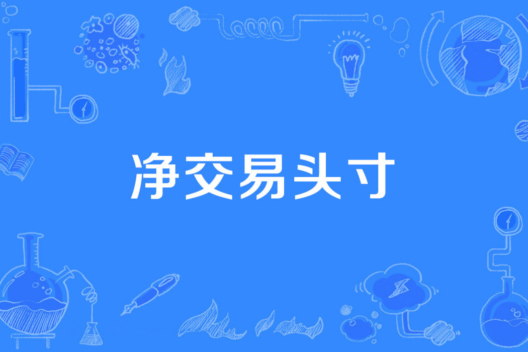 淨交易頭寸 淨交易頭寸