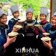 水族婦幼節 水族婦幼節