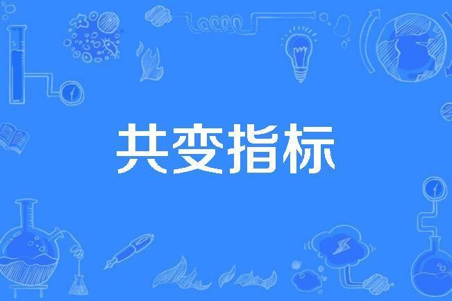 共變指標 共變指標
