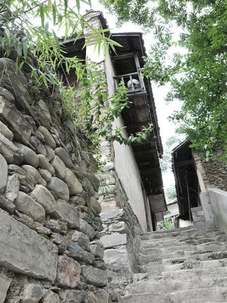 紫陽階 紫陽階