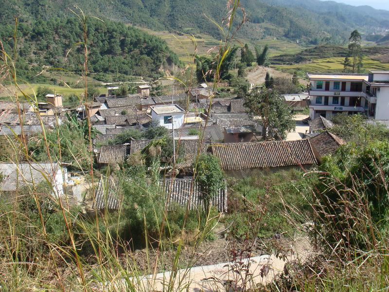 鄭集寨村 鄭集寨村