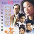 天若有情(1997年電視劇)