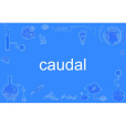 caudal caudal
