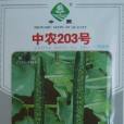 中農203 中農203