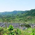 白楊村(安徽省歙縣北岸鎮白楊村) 白楊村(安徽省歙縣北岸鎮白楊村)