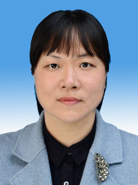 何眉(雲南省玉溪市易門縣委副書記,縣人民政府黨組書記、縣長) 何眉(雲南省玉溪市易門縣委副書記,縣人民政府黨組書記、縣長)