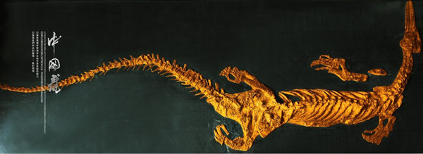 中國龍 古生物化石