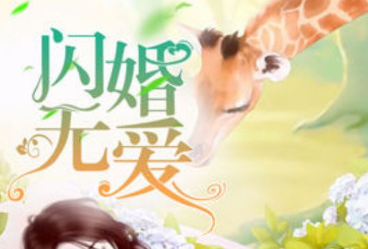 閃婚無愛 閃婚無愛