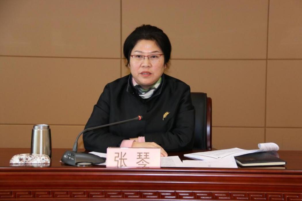 張琴(荃銀高科副董事長,董事) 張琴(荃銀高科副董事長,董事)