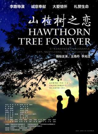 郜思雯 郜思雯
