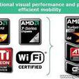 AMD Congo