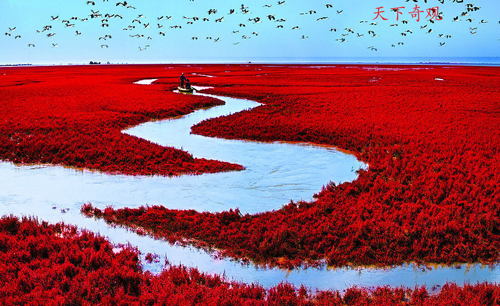 雙台河口國家級自然保護區