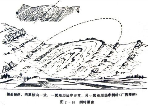 伏臥褶曲 伏臥褶曲