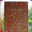 草書大王 草書大王