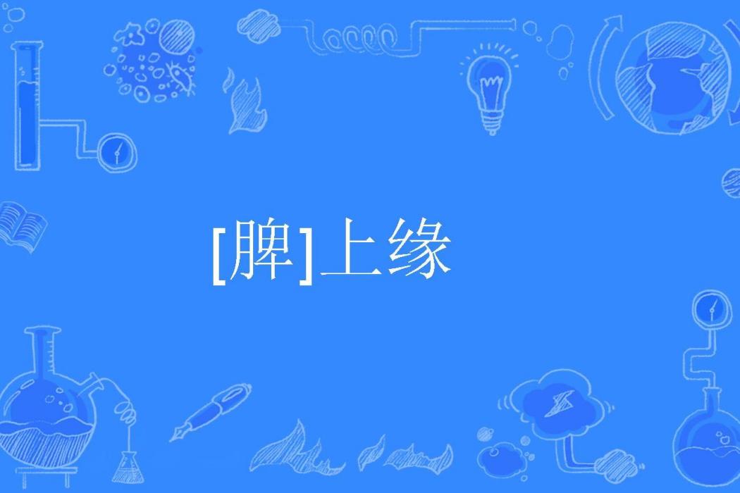 [脾]上緣