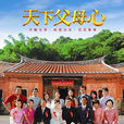 天下父母心(2009年馮凱執導台灣電視)