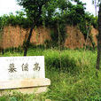 白兔丘村 白兔丘村