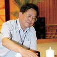 胡榮華(中國象棋國際特級大師)