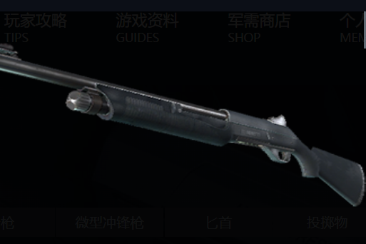 新星(遊戲《反恐精英》中武器) 新星(遊戲《反恐精英》中武器)