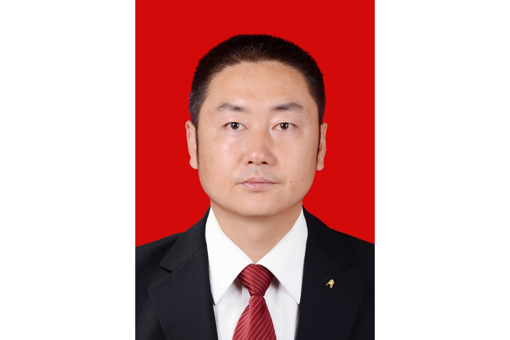 周琳(甘肅省隴南市徽縣統計局副局長) 周琳(甘肅省隴南市徽縣統計局副局長)