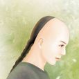 左含英 左含英