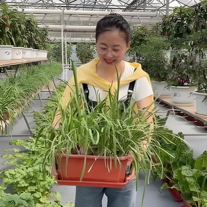 田園玉姐 田園玉姐