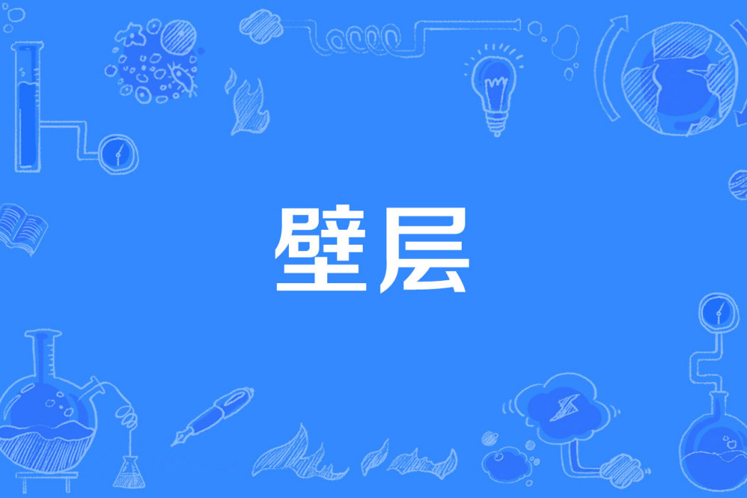 壁層