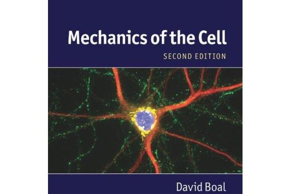Mechanics of the Cell Mechanics of the Cell