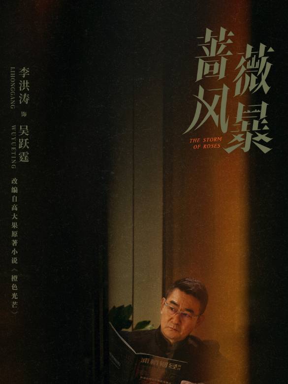 薔薇風暴(2024年惠楷棟執導的職場劇)