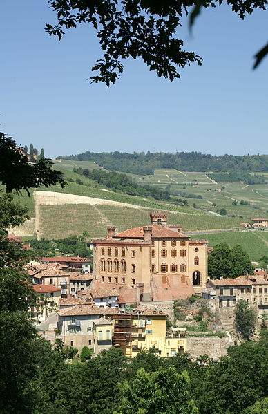 義大利Barolo區的葡萄園