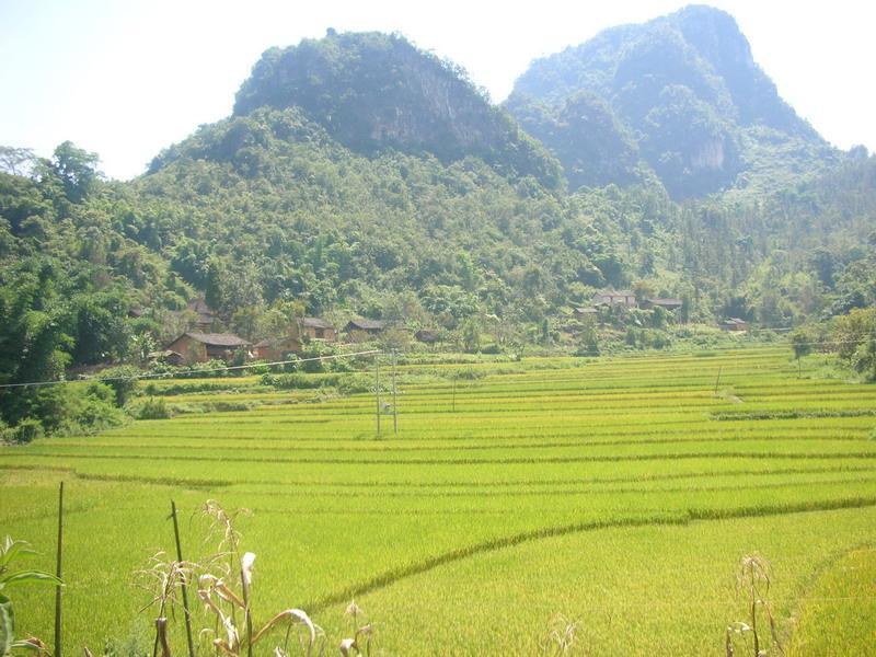 舊基村 舊基村