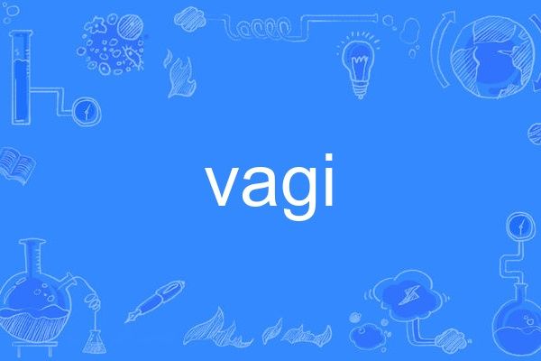 vagi vagi