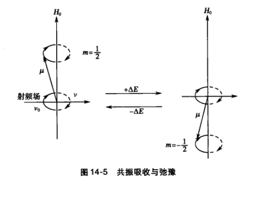 自旋弛豫 自旋弛豫