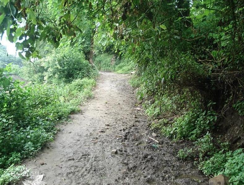 寸景村 寸景村