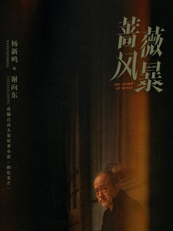 薔薇風暴(2024年惠楷棟執導的職場劇)