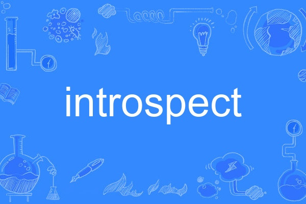 introspect introspect