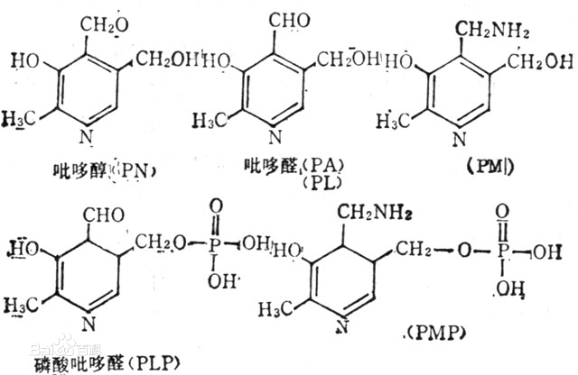 維生素B6(吡哆素)