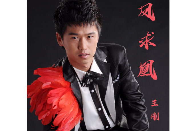 鳳求凰(王剛演唱的歌曲) 鳳求凰(王剛演唱的歌曲)