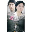 愛沒有錯(12DVD) 愛沒有錯(12DVD)