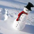 結霜的雪人 結霜的雪人