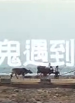 郝劭文