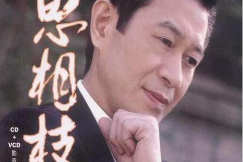 情恨(蔡小虎演唱的歌曲) 情恨(蔡小虎演唱的歌曲)
