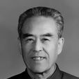 白棟材 白棟材