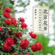 北京花開 北京花開