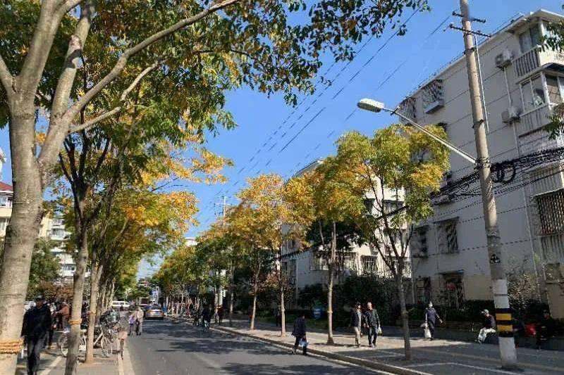 平順路(青島市平順路) 平順路(青島市平順路)